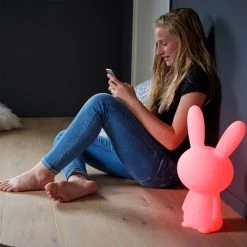 Enceinte Lumineuse Multifonction Bigben, Veilleuse Bluetooth, LED Multicolore - Néon Lapin 14 Enceinte Lumineuse Multifonction Bigben, Veilleuse Bluetooth, LED Multicolore - Néon Lapin -Musique recherchée. spik big arnav 3