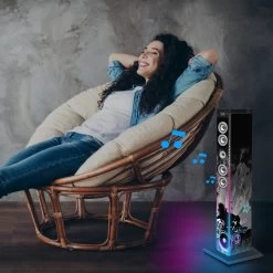 Enceinte Bluetooth Lumineuse Bigben 60W - Tour Multimédia DJ Light 18 Enceinte Bluetooth Lumineuse Bigben 60W - Tour Multimédia DJ Light -Musique recherchée. spik big dj 8 2