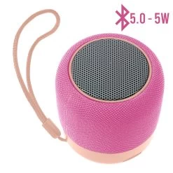 Mini Enceinte Bluetooth 5.0, Radio FM Et Micro Avec Dragonne, WSY01 - Rose