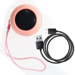 Enceinte Bluetooth 5.0 Portable Micro Et Radio FM Avec Dragonne, WSY06 - Rose -Musique recherchée. spik y06 pk 11